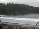 ./images/calvert/beach/20170113/beach20170113_103503.jpg