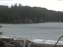 ./images/calvert/beach/20170113/beach20170113_130503.jpg