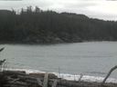 ./images/calvert/beach/20170113/beach20170113_133002.jpg