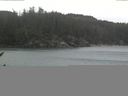 ./images/calvert/beach/20170113/beach20170113_140003.jpg