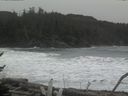 ./images/calvert/beach/20170114/beach20170114_150003.jpg