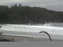 ./images/calvert/beach/20170115/beach20170115_120003.jpg