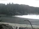 ./images/calvert/beach/20170116/beach20170116_083003.jpg