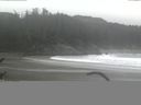 ./images/calvert/beach/20170116/beach20170116_103002.jpg