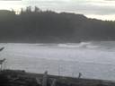 ./images/calvert/beach/20170120/beach20170120_081002.jpg