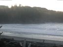 ./images/calvert/beach/20170120/beach20170120_093503.jpg