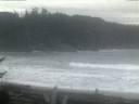 ./images/calvert/beach/20170121/beach20170121_080502.jpg