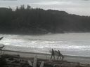 ./images/calvert/beach/20170121/beach20170121_102001.jpg