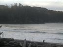 ./images/calvert/beach/20170122/beach20170122_093001.jpg
