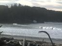 ./images/calvert/beach/20170122/beach20170122_110502.jpg