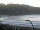 ./images/calvert/beach/20170123/beach20170123_091001.jpg