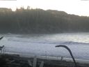 ./images/calvert/beach/20170123/beach20170123_092001.jpg