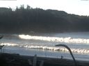 ./images/calvert/beach/20170123/beach20170123_100504.jpg