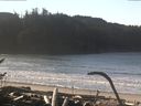 ./images/calvert/beach/20170123/beach20170123_112503.jpg