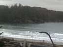 ./images/calvert/beach/20170124/beach20170124_085003.jpg