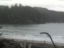 ./images/calvert/beach/20170124/beach20170124_090002.jpg