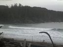 ./images/calvert/beach/20170124/beach20170124_093002.jpg