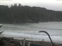 ./images/calvert/beach/20170124/beach20170124_093501.jpg
