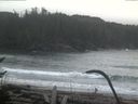 ./images/calvert/beach/20170124/beach20170124_095002.jpg