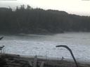 ./images/calvert/beach/20170124/beach20170124_095502.jpg