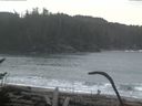 ./images/calvert/beach/20170124/beach20170124_100503.jpg