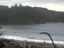 ./images/calvert/beach/20170124/beach20170124_101502.jpg