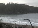 ./images/calvert/beach/20170124/beach20170124_102503.jpg