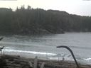 ./images/calvert/beach/20170124/beach20170124_103002.jpg