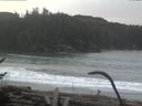 ./images/calvert/beach/20170124/beach20170124_103503.jpg