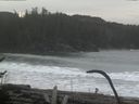 ./images/calvert/beach/20170124/beach20170124_105002.jpg