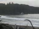 ./images/calvert/beach/20170124/beach20170124_110003.jpg