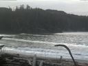 ./images/calvert/beach/20170124/beach20170124_111002.jpg