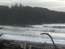 ./images/calvert/beach/20170124/beach20170124_112001.jpg