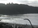 ./images/calvert/beach/20170124/beach20170124_114002.jpg