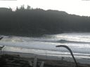./images/calvert/beach/20170124/beach20170124_115501.jpg