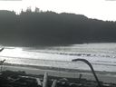 ./images/calvert/beach/20170124/beach20170124_123503.jpg