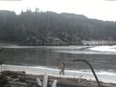 ./images/calvert/beach/20170124/beach20170124_170503.jpg
