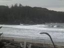 ./images/calvert/beach/20170125/beach20170125_084003.jpg