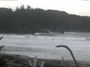 ./images/calvert/beach/20170125/beach20170125_091002.jpg