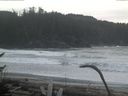 ./images/calvert/beach/20170125/beach20170125_091502.jpg