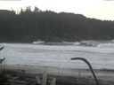 ./images/calvert/beach/20170125/beach20170125_092001.jpg