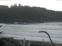./images/calvert/beach/20170125/beach20170125_093002.jpg
