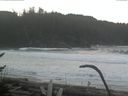 ./images/calvert/beach/20170125/beach20170125_093501.jpg
