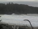 ./images/calvert/beach/20170125/beach20170125_112001.jpg