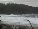 ./images/calvert/beach/20170125/beach20170125_113501.jpg