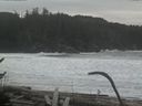 ./images/calvert/beach/20170125/beach20170125_114003.jpg
