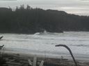 ./images/calvert/beach/20170125/beach20170125_120003.jpg
