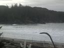 ./images/calvert/beach/20170125/beach20170125_122502.jpg