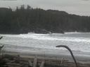 ./images/calvert/beach/20170126/beach20170126_092001.jpg