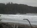 ./images/calvert/beach/20170126/beach20170126_092502.jpg